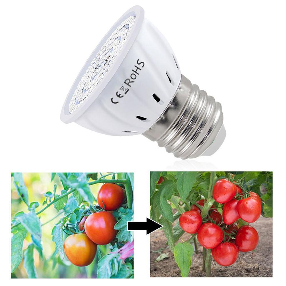 Plant Grow Light Full Spectrum - LED Büyüme Ampulü E27 60 80LED