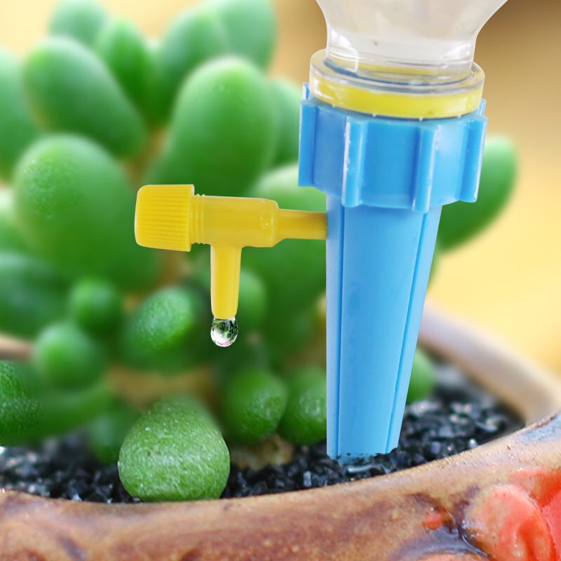 10/1 adet kendi kendine sulama - Smart Garden Auk incelemesi ve fiyatı