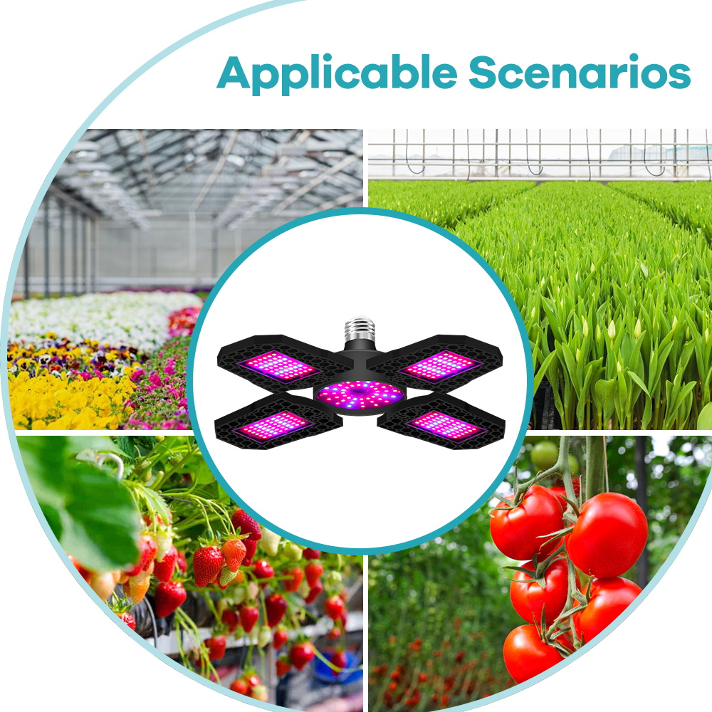 Bitki Büyütme Lambası LED Ampu - Plant Grow Light Full Spectrum incelemesi ve fiyatı