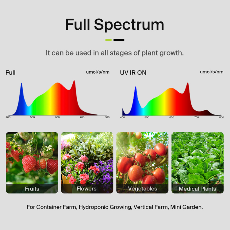 3,75 Lbs'ye kadar verim sağlay - Plant Grow Light Full Spectrum incelemesi ve fiyatı