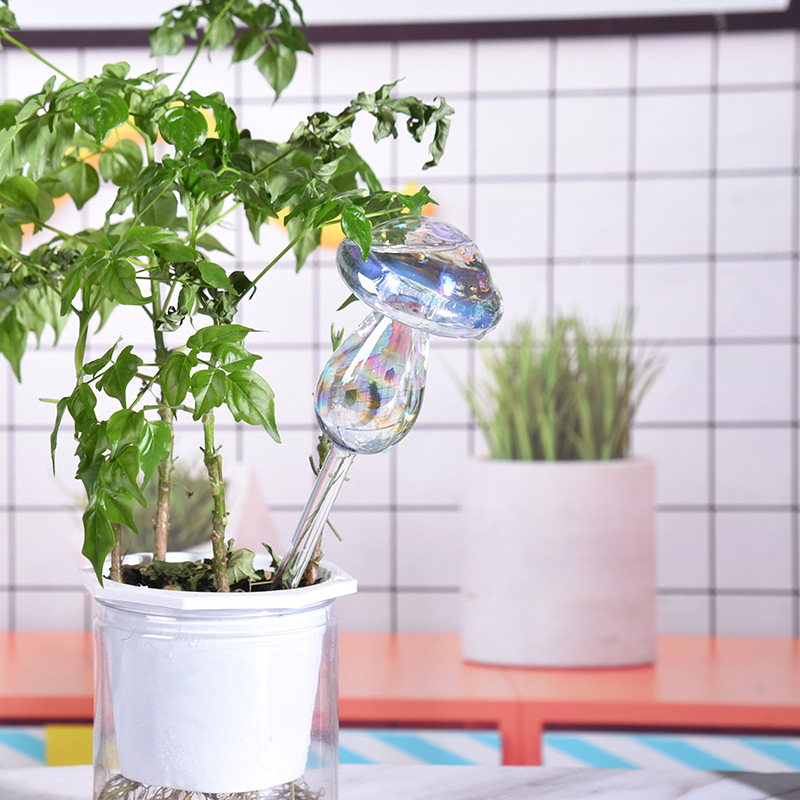 1/2 adet cam saman otomatik bi - Smart Garden Auk incelemesi ve fiyatı