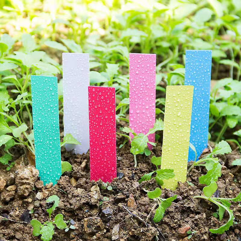 100 Adet Bahçe Bitki Etiketler - Garden Journal Planner incelemesi ve fiyatı