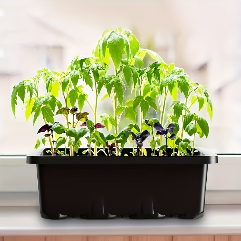 Fide Başlangıç Seti 1/2/3 Set, - Plant Grow Light Full Spectrum incelemesi ve fiyatı