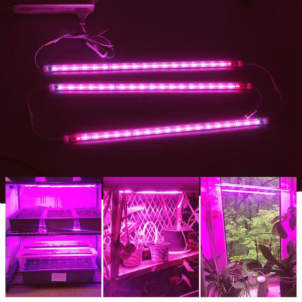 12 İnç LED Bitki Yetiştirme Iş - Plant Grow Light Full Spectrum incelemesi ve fiyatı
