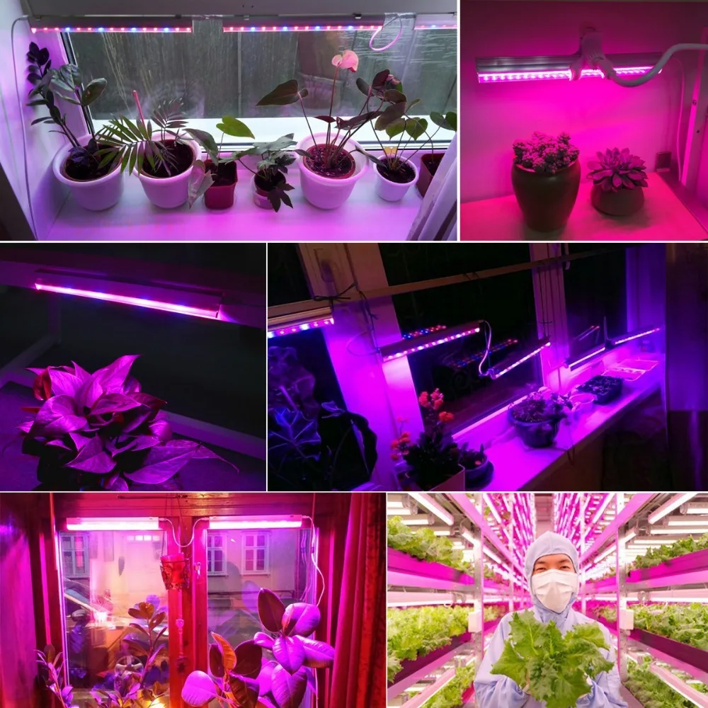 12 İnç LED Bitki Yetiştirme Iş - Plant Grow Light Full Spectrum incelemesi ve fiyatı